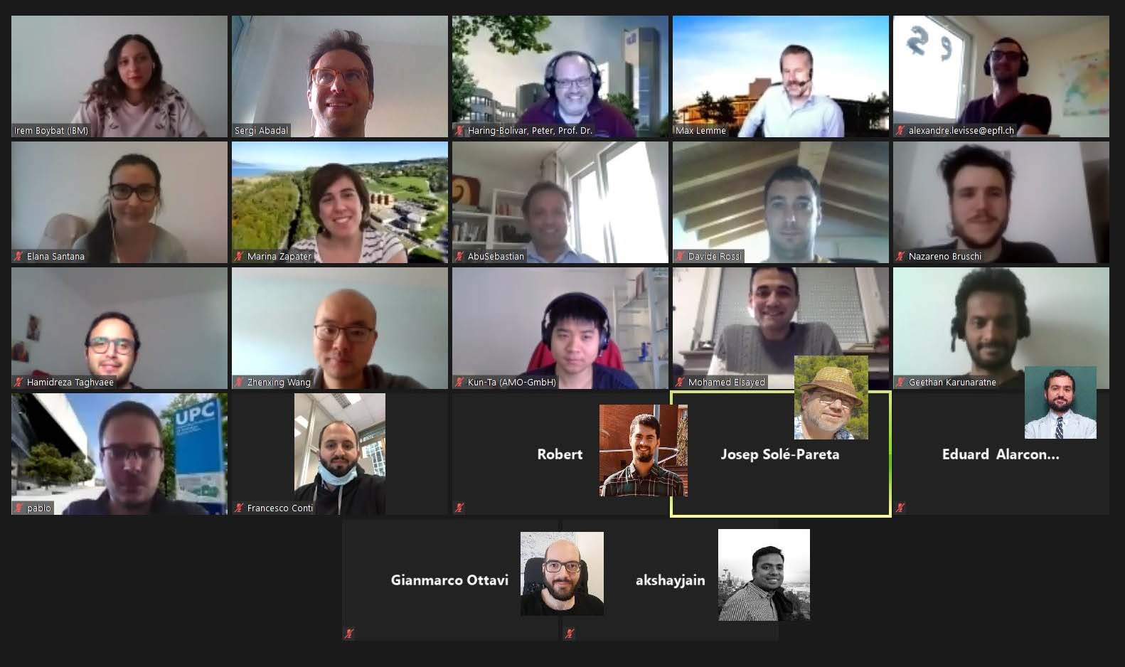 Online Plenary Meeting